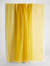 Load image into Gallery viewer, Rivera SIlk Chiffon Scarf