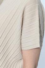 Load image into Gallery viewer, Fiabe Acordian Knit Top