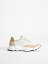 Load image into Gallery viewer, Cigno Mult Textured Sneaker